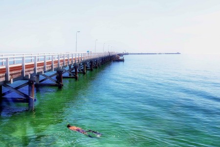 Swimming Down Under (Busselton Jetty)