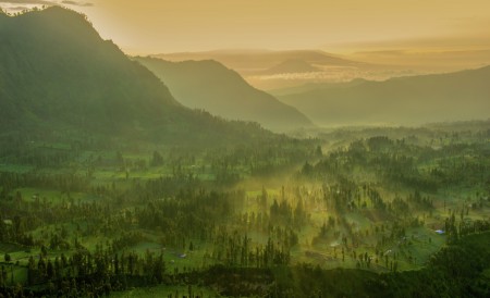 Misty morning  at Cemoro Lawang