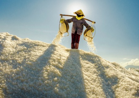Shape of Salt