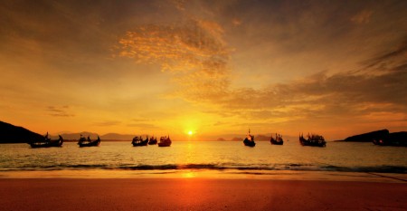 Morning glory at Papuma