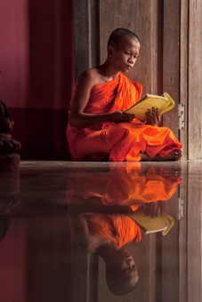 The Light of Culture