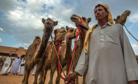Camel Keeper