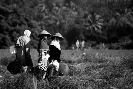 Farmer Ladies