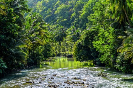 Banten's Outback
