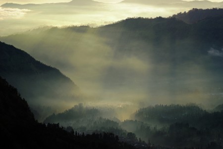 Morning silhouettes