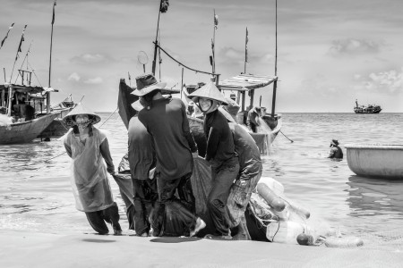 eye and smile of fisher