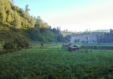 RanuPani Farmville