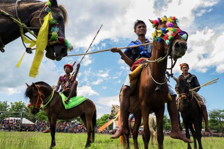 Pasola Warrior