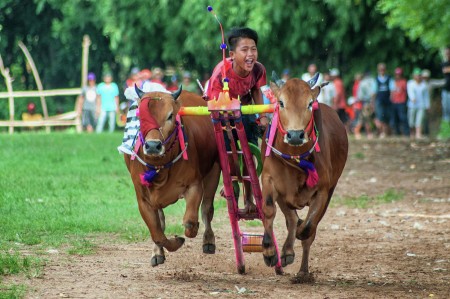 Indonesian Cowboy
