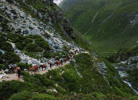 Journey