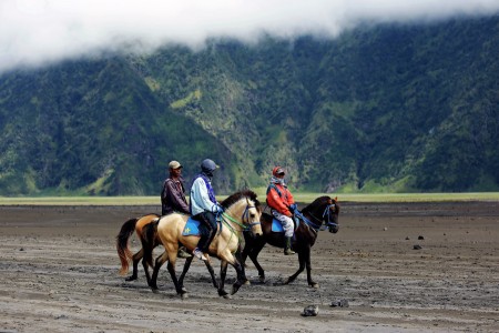 penunggang kuda bromo