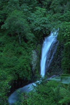 Air Terjun Gitgit