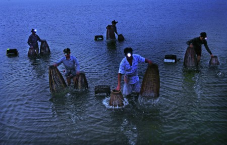 Fisher;s in night