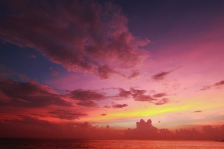 Violet of Senggigi