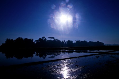 Frozen Sun