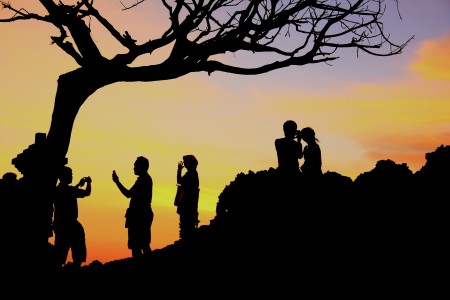 Photographer Activity