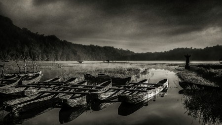 Tamblingan Lake 3