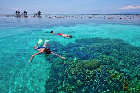 Looking for Paradise