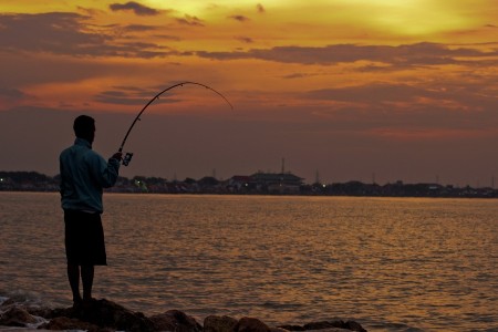 Finally I Got Fish for Dinner