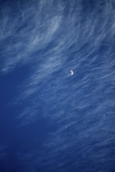 bulan merindu