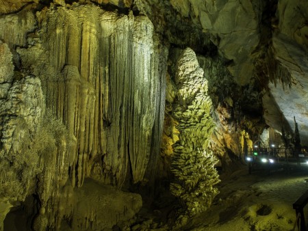 Cycad tree shape stalactite