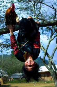 Hmong Children