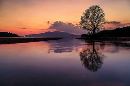 Reflections