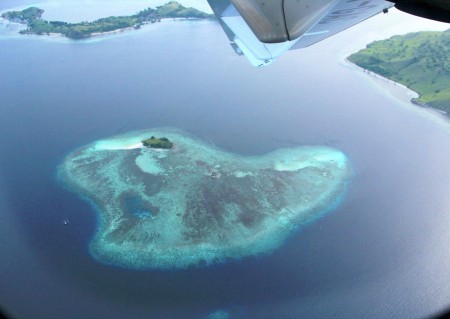 Color of indonesian marine