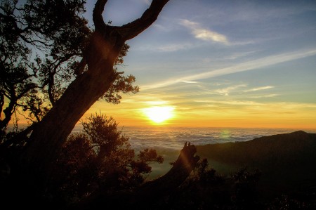 Real Sunrise
