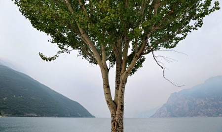 Looking beyond the borders of Nature