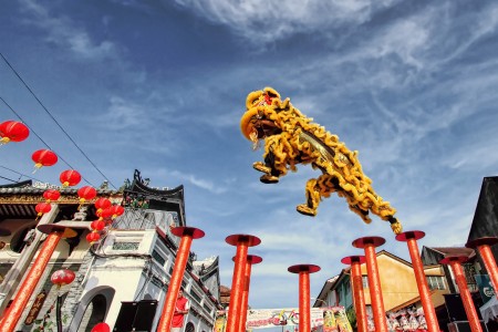Leaping lion
