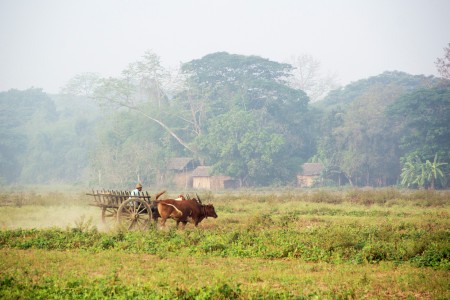 natural transpotation