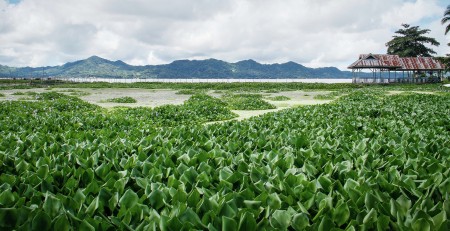Sumaru Endo