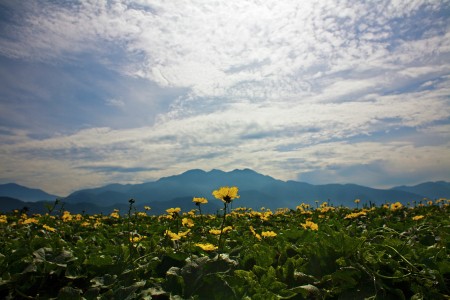 Rising Mountain