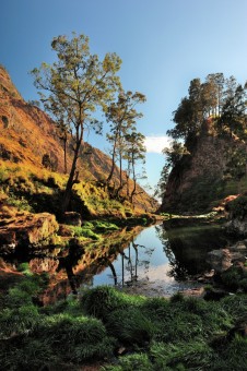 Morning Fresh, at Danau Segara anak - Rinjani