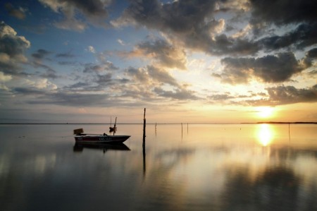 The Morning Boat