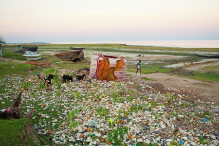 The Island