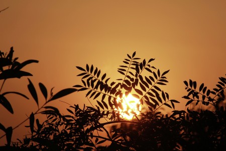 Sunset on the hill