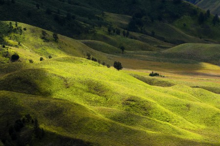 One Day On Teletubbie Land