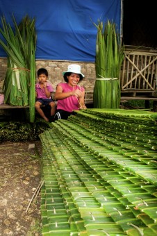 Nipa Hut Weaver