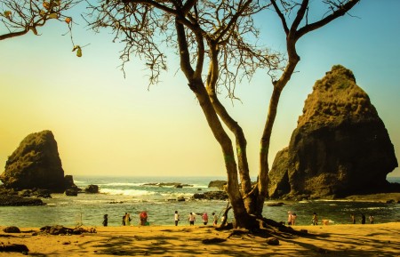 Papuma Beach