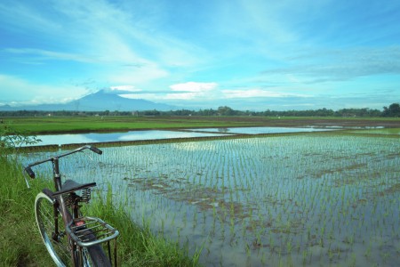 Village Atmosphere