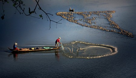 Life flood