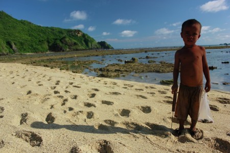 Shell Hunter