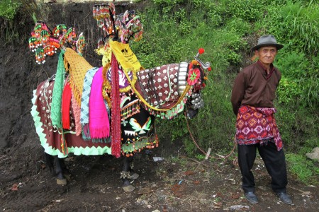 Dancing Horse Handler