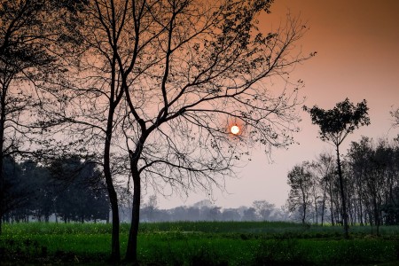 Sunset in Lumbini