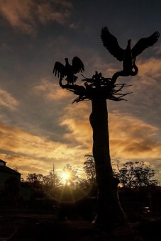 Eagles Nest