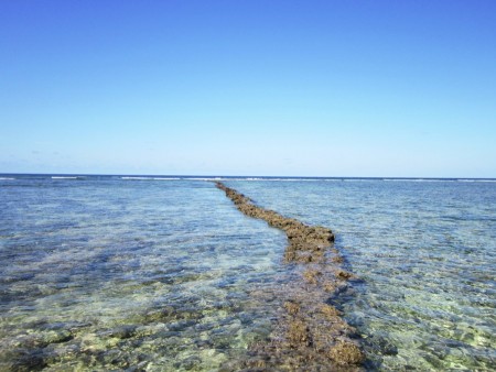 The path to the horizon