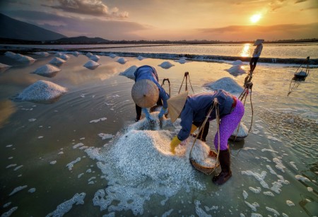Sea salt harvest