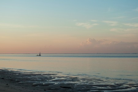 Sailing Dream